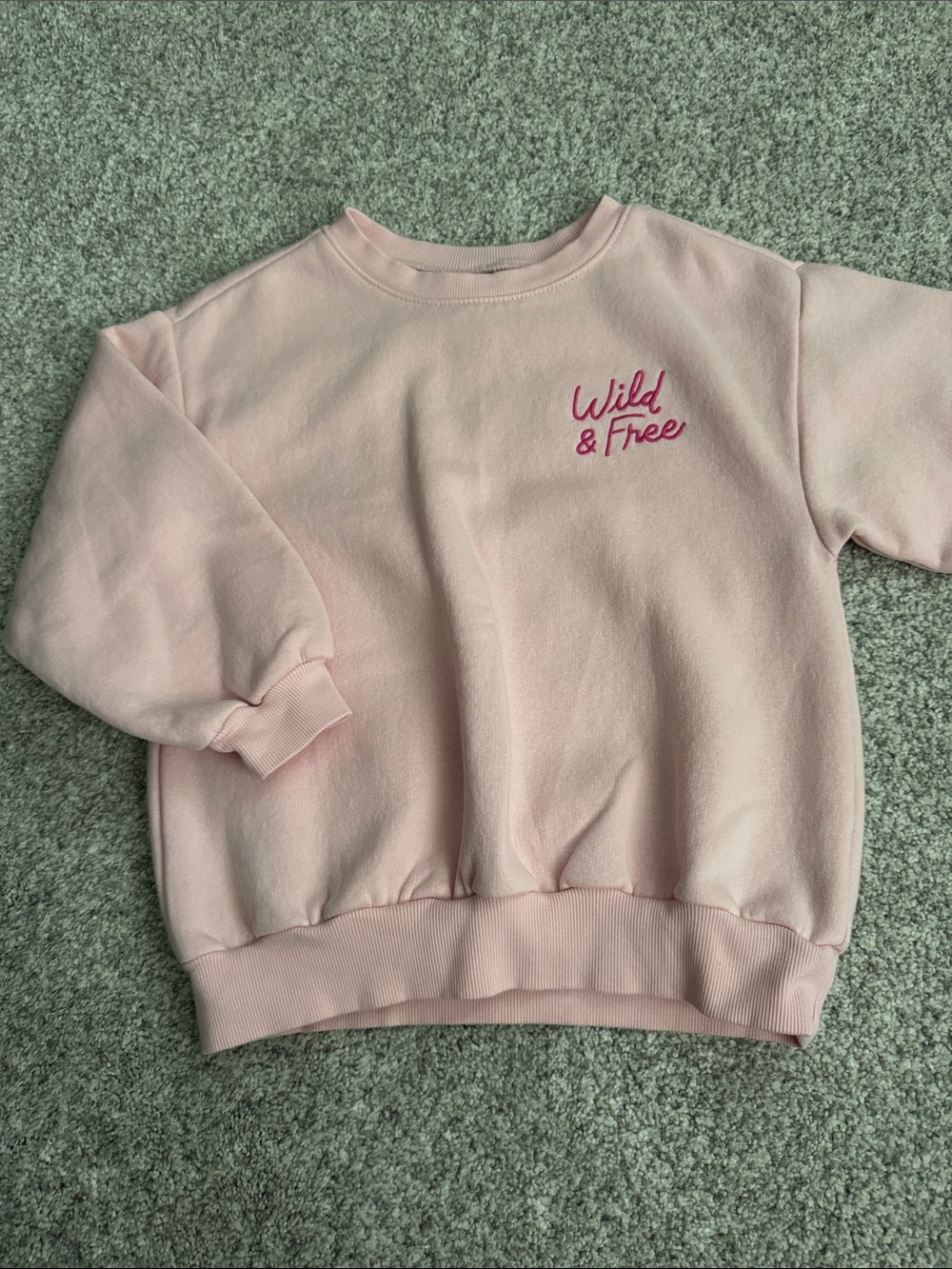 Old Navy Pink "Wild & Free" Girls Sweatshirt